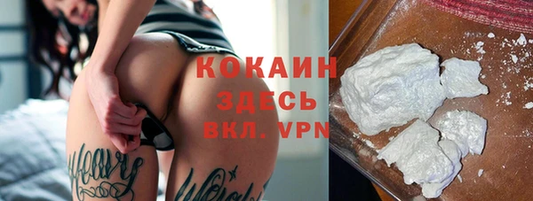 бошки Коряжма