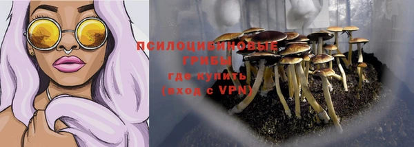бошки Коряжма