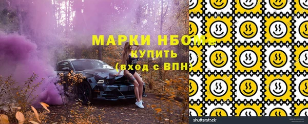 бошки Коряжма