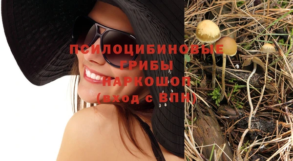 спайс Костерёво