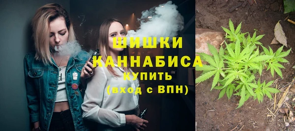 бошки Коряжма