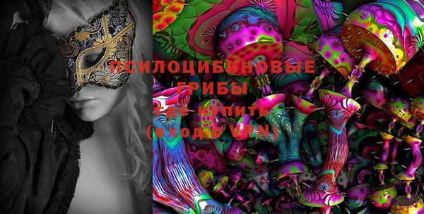 PSILOCYBIN Корсаков