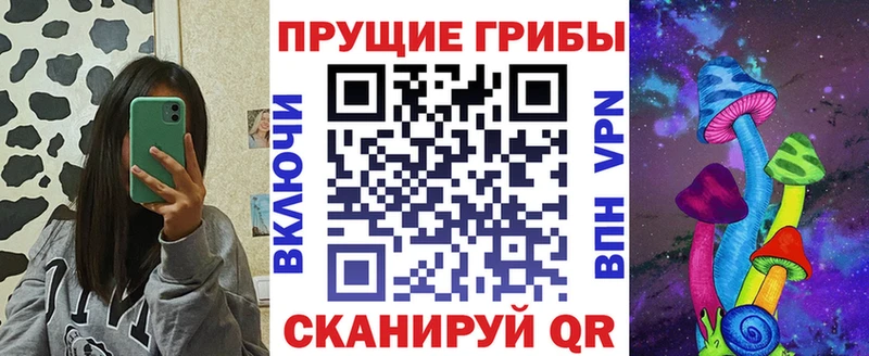 Купить закладки  Асбест  Галлюциногенные грибы прущие грибы 